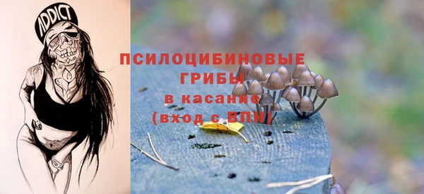 гидра Аркадак