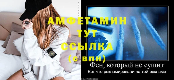 гидра Аркадак