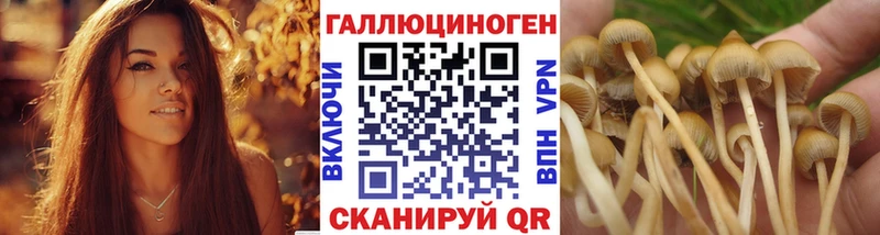 Псилоцибиновые грибы GOLDEN TEACHER  Лермонтов 
